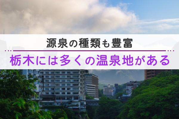 源泉の種類も豊富。栃木には多くの温泉地がある